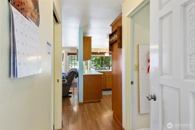 7717 176th Ave SW, Longbranch, WA 98351 - hallway with light wood-style floors