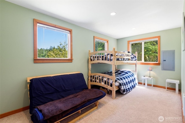 7717 176th Ave SW, Longbranch, WA 98351 - bedroom featuring electric panel, carpet, and recessed lighting