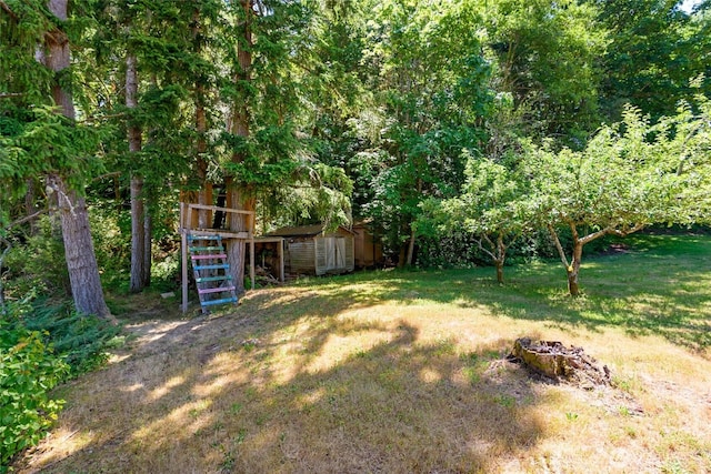 7717 176th Ave SW, Longbranch, WA 98351 - view of grassy yard featuring a shed and stairs