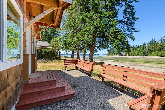 7717 176th Ave SW, Longbranch, WA 98351 - view of yard