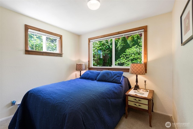 7717 176th Ave SW, Longbranch, WA 98351 - carpeted bedroom with multiple windows