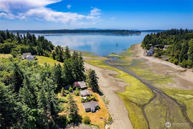 7717 176th Ave SW, Longbranch, WA 98351 - drone / aerial view of a nearby body of water