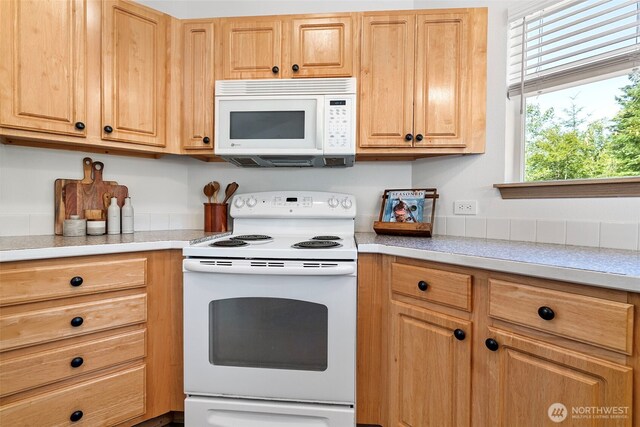 13205 158th Ave NW, Gig Harbor, WA 98329 - photo 9