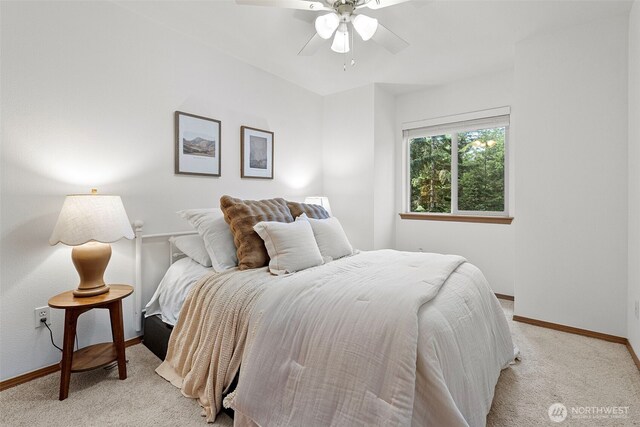 13205 158th Ave NW, Gig Harbor, WA 98329 - photo 20