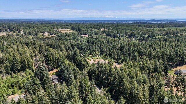 13205 158th Ave NW, Gig Harbor, WA 98329 - photo 31