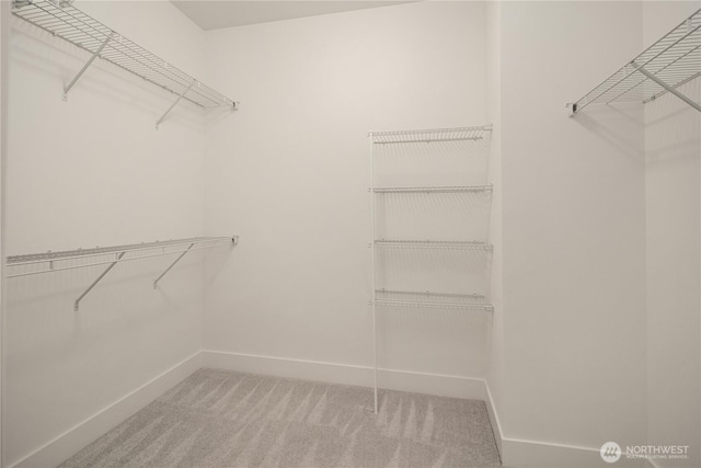 3052 SE 13th Pl, North Bend, WA 98045 - walk in closet with carpet floors
