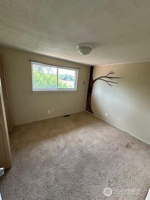 129 W Washington St, Napavine, WA 98565 - unfurnished room featuring a textured ceiling and carpet flooring