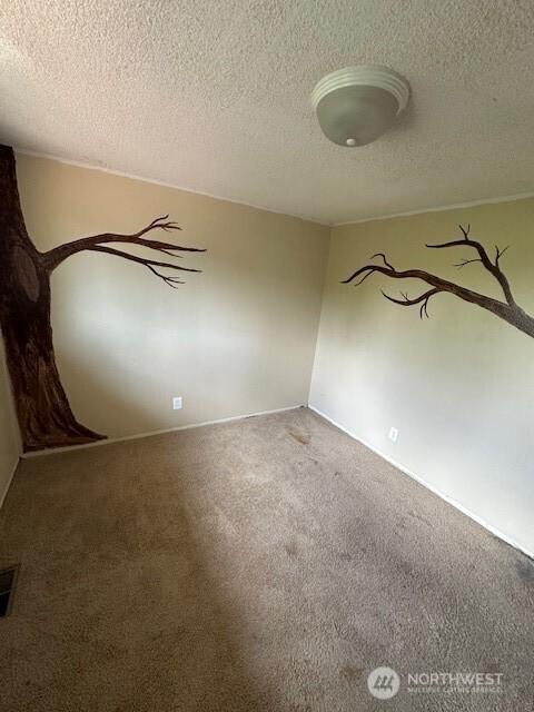 129 W Washington St, Napavine, WA 98565 - empty room featuring carpet flooring and a textured ceiling
