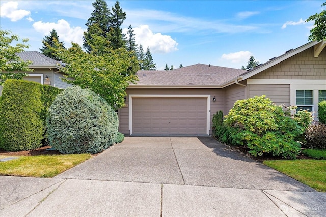 13720 231st Ln NE, Redmond, WA 98053 - photo 2