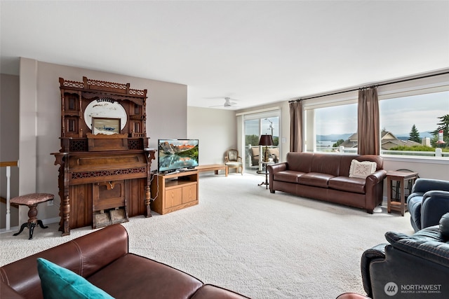 3802 N Ave, Anacortes, WA 98221 - photo 18