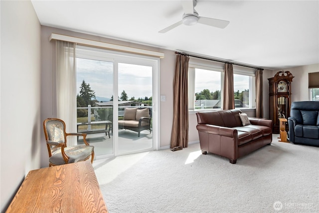 3802 N Ave, Anacortes, WA 98221 - photo 21