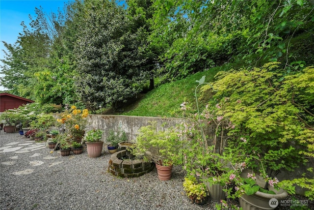 832 Margie Ann Dr, Camano Island, WA 98282 - view of yard