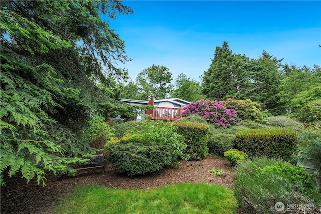 832 Margie Ann Dr, Camano Island, WA 98282 - view of yard