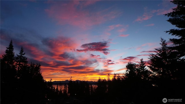 832 Margie Ann Dr, Camano Island, WA 98282 - view of nature at dusk