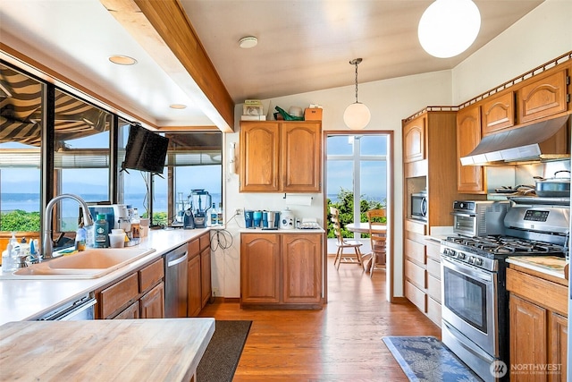 16906 13th Ave NW, Shoreline, WA 98177 - kitchen with stainless steel appliances, under cabinet range hood, plenty of natural light, and vaulted ceiling
