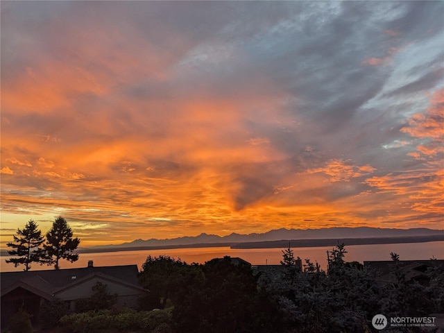 16906 13th Ave NW, Shoreline, WA 98177 - mountain view featuring a large body of water