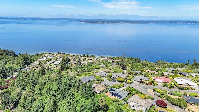 16906 13th Ave NW, Shoreline, WA 98177 - aerial view of residential area with a nearby body of water