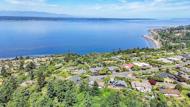 16906 13th Ave NW, Shoreline, WA 98177 - aerial view of residential area featuring a water and mountain view