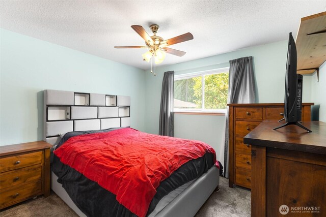 8707 105th Street Ct SW, Lakewood, WA 98498 - photo 20