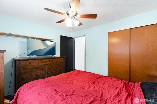 8707 105th Street Ct SW, Lakewood, WA 98498 - photo 21