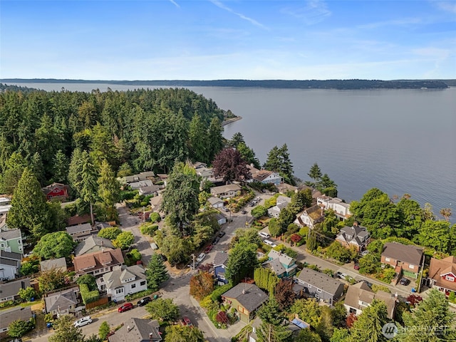 7139 Wright Ave SW, Seattle, WA 98136 - aerial perspective of suburban area featuring a large body of water