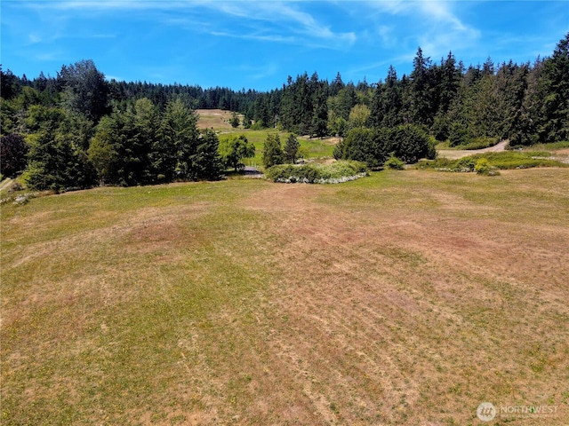 10 Davenhill Ln, Sequim, WA 98382 - view of green lawn with a view of trees