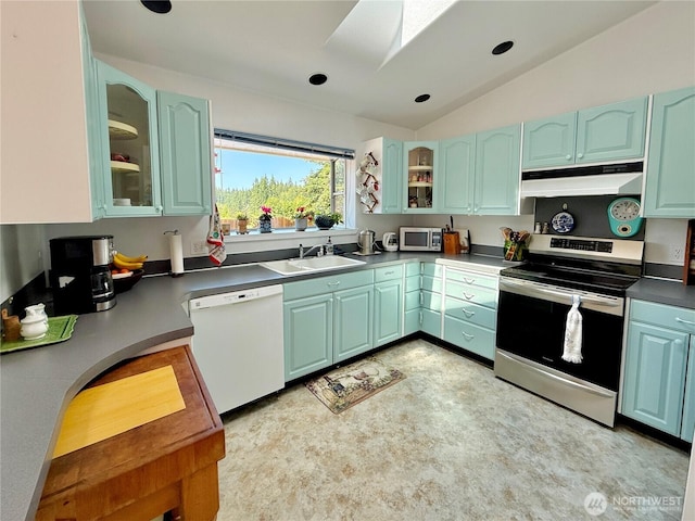 10 Davenhill Ln, Sequim, WA 98382 - kitchen with stainless steel appliances, under cabinet range hood, a skylight, lofted ceiling, and glass insert cabinets