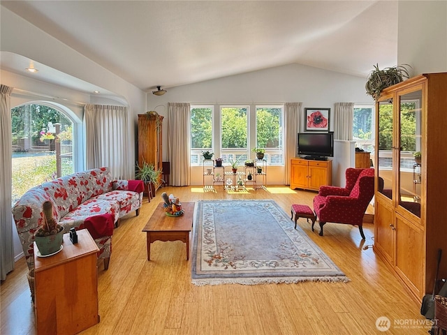 10 Davenhill Ln, Sequim, WA 98382 - living area with vaulted ceiling, plenty of natural light, and light wood-type flooring