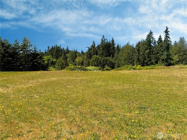 10 Davenhill Ln, Sequim, WA 98382 - view of local wilderness