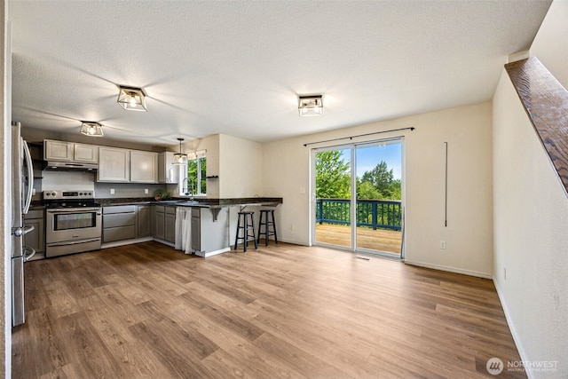 210 E Mossflower Ln, Grapeview, WA 98546 - kitchen with stainless steel appliances, under cabinet range hood, plenty of natural light, and a breakfast bar area