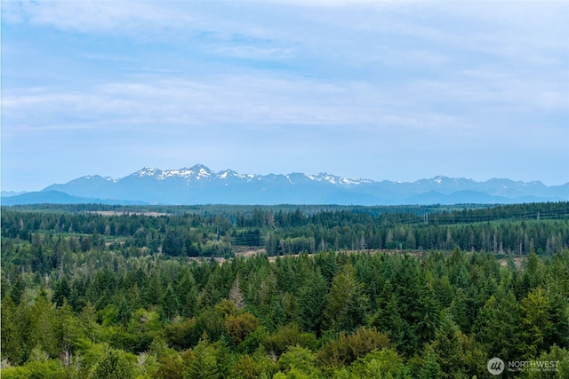 210 E Mossflower Ln, Grapeview, WA 98546 - view of mountain background featuring a forest