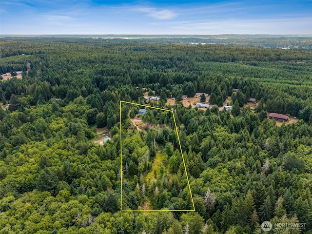 210 E Mossflower Ln, Grapeview, WA 98546 - aerial view of property's location with a forest and property boundaries highlighted