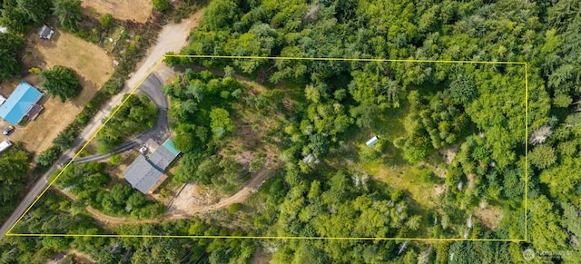 210 E Mossflower Ln, Grapeview, WA 98546 - aerial overview of property's location featuring property parcel outlined