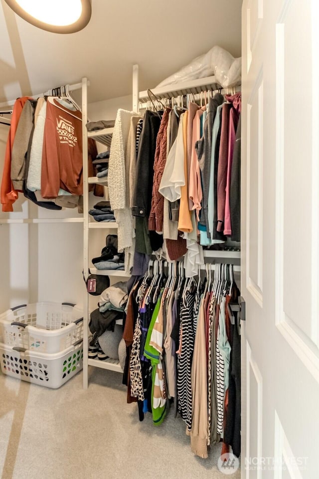 35459 25th Pl S, Federal Way, WA 98003 - walk in closet featuring carpet flooring