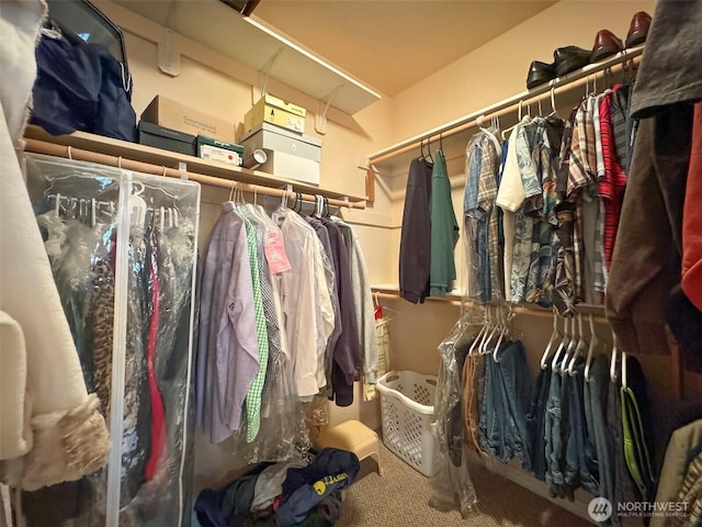 453 Louella Heights Dr, Sequim, WA 98382 - walk in closet with carpet