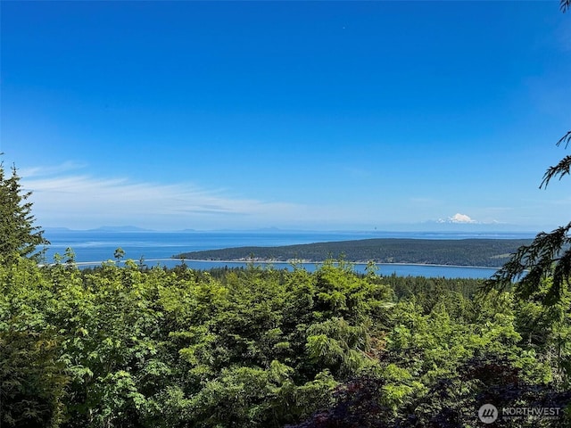 453 Louella Heights Dr, Sequim, WA 98382 - water view featuring a forest