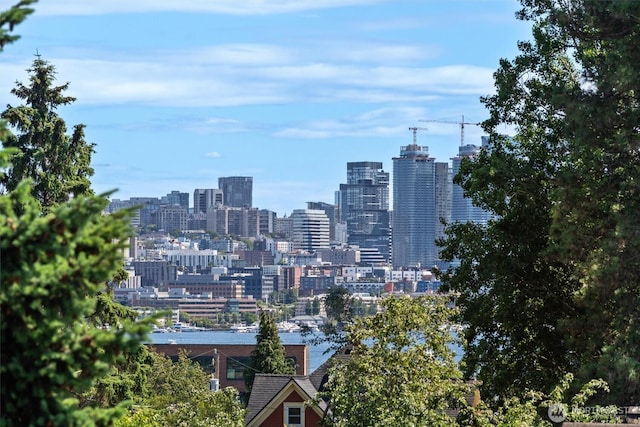 3642A Interlake Ave N, Seattle, WA 98103 - view of city skyline