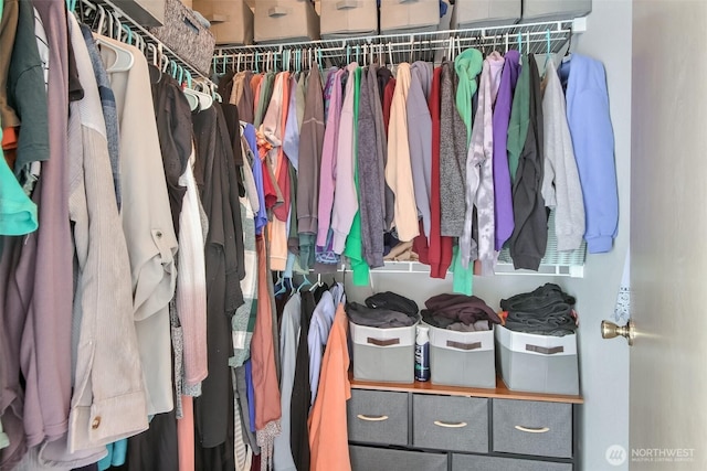 1450 Mountain View Dr, Enumclaw, WA 98022 - view of walk in closet