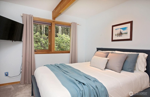 635 Indian Hill Rd, Coupeville, WA 98239 - photo 24