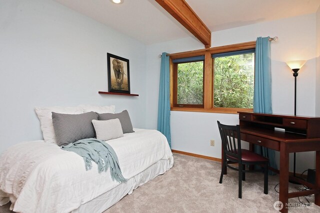 635 Indian Hill Rd, Coupeville, WA 98239 - photo 26