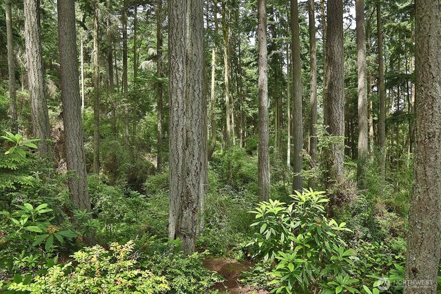 635 Indian Hill Rd, Coupeville, WA 98239 - photo 35