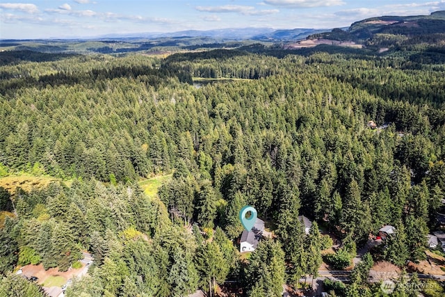 17712 E Clear Lake Blvd SE, Yelm, WA 98597 - drone / aerial view of a forest and a mountain backdrop