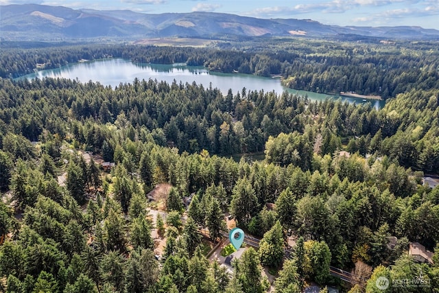 17712 E Clear Lake Blvd SE, Yelm, WA 98597 - aerial view of a heavily wooded area and a water and mountain view