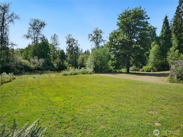 9128 184th Ave NE, Granite Falls, WA 98252 - view of grassy yard