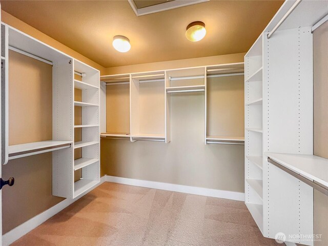 13509 174th St E, Puyallup, WA 98374 - photo 20