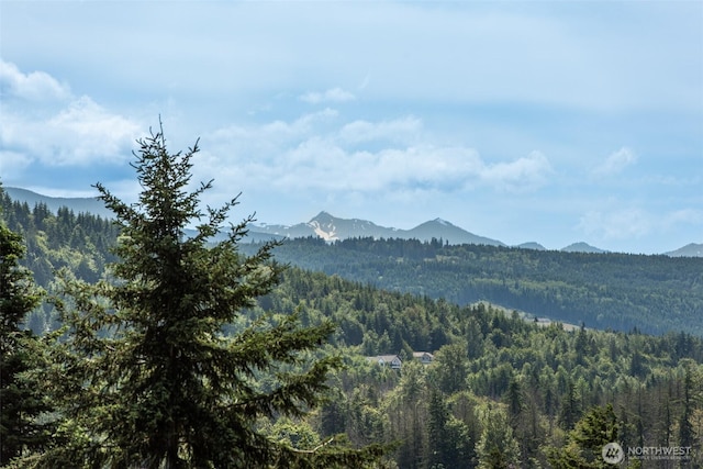 1483 Fox Hollow Rd, Sequim, WA 98382 - view of mountain background with a forest