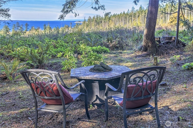 251 Saddle Dr, Port Townsend, WA 98368 - view of yard featuring a water view