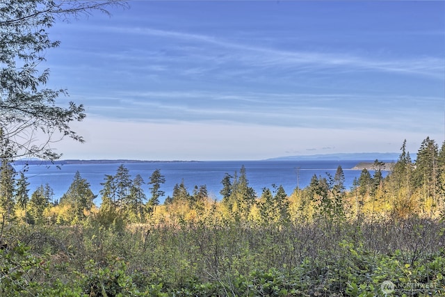 251 Saddle Dr, Port Townsend, WA 98368 - water view