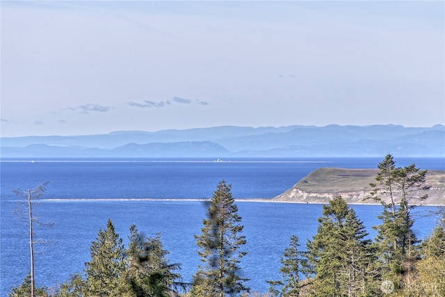 251 Saddle Dr, Port Townsend, WA 98368 - water view with mountains