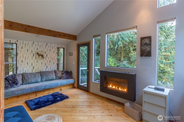 251 Saddle Dr, Port Townsend, WA 98368 - living area with light wood-style flooring and a glass covered fireplace